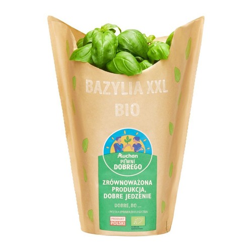 BIO Bazylia XXL Pewni Dobrego sztuka